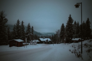 Norveç, Werewolves Formatını TV 2 ile Hayata Geçiriyor
